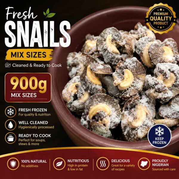 Fresh Nigeria Bush Snail