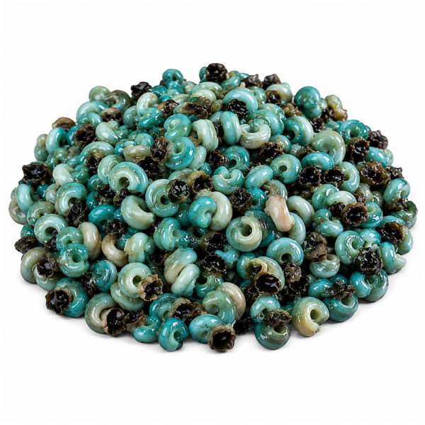 Fresh Periwinkle 100 per pack