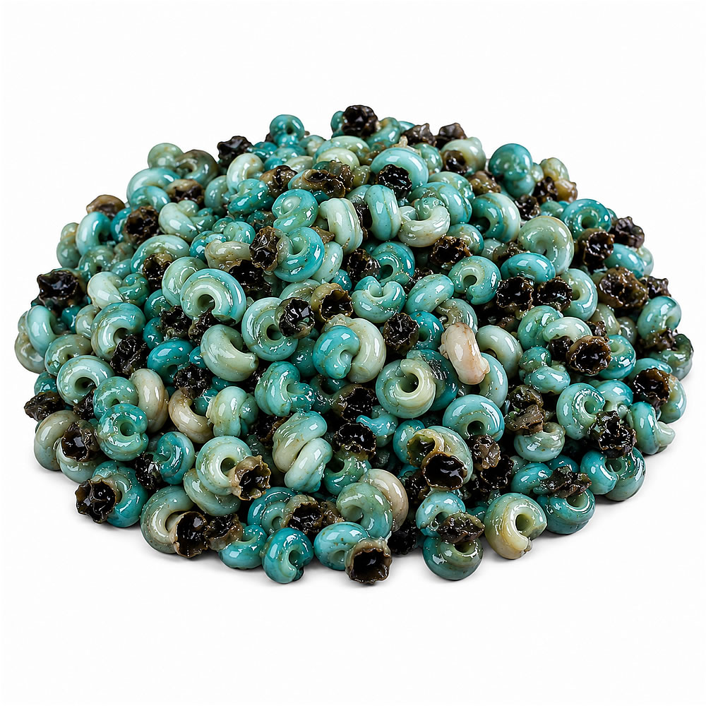 periwinkle Fresh Periwinkle 100 per pack - Image 1